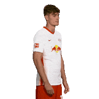 Posing Line Up Sticker by Bundesliga