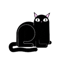 Cat Wow Sticker