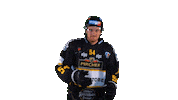 Hockey Look Sticker by HC Pustertal Wolves