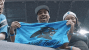 Football Nfl GIF by Carolina Panthers