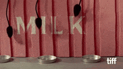 Marlon Brando Dance GIF by TIFF