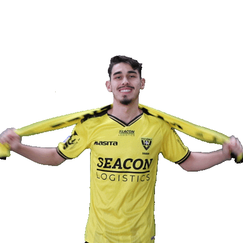 Wolverhampton Wanderers Fc Wolves Sticker by VVV-Venlo