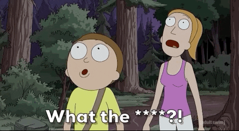 Season 4 Summer GIF by Rick and Morty