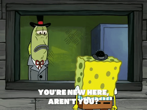 season 5 GIF by SpongeBob SquarePants