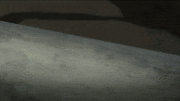 Pro Wrestling Rage GIF by Adult Swim