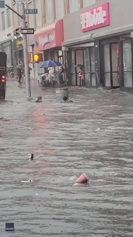 Men Dive Into New York City Floodwaters 