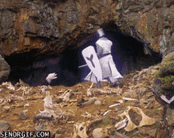 monty python and the holy grail rabbit GIF by Cheezburger