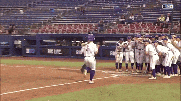 Home Run Softball GIF by Northwestern Athletics