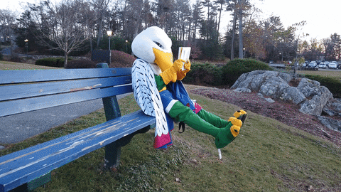 thisisendicott giphyupload studying booksmart gulls GIF