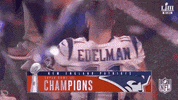 2018 nfl football GIF by NFL
