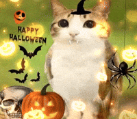 Halloween GIF