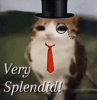 British Brit GIF