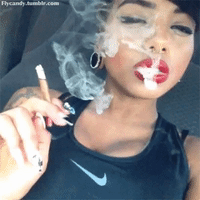 GIF by WeedFeed