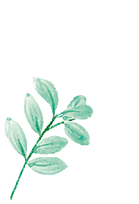 Plant Draw Sticker