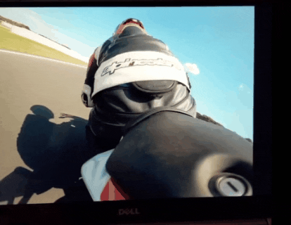 ducksonetime giphygifmaker giphygifmakermobile GIF