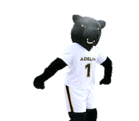 Paws Au Sticker by AdelphiU