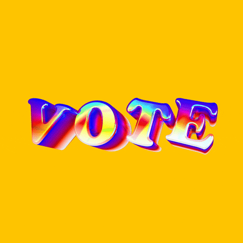 Voting Election 2020 GIF by INTO ACTION