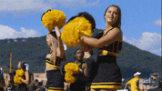 AppState app state appstate appalachian state GIF