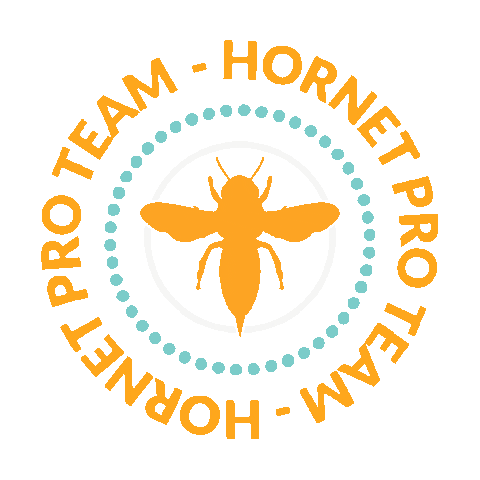 Hornetart stencil hornet proteam hornetart Sticker