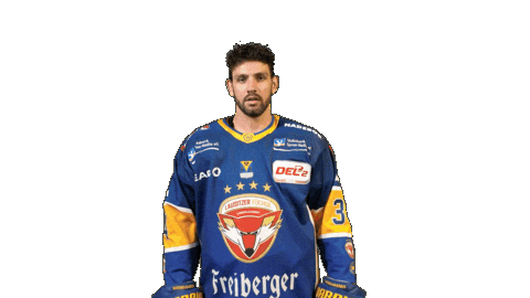 Wow Sticker by Lausitzer Füchse