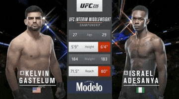 ufc sports sport ufc mma GIF
