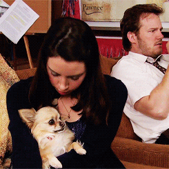 Parks And Recreation Dog GIF