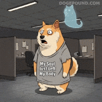 Over It Omg GIF by Doge Pound