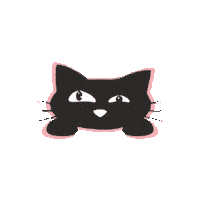 Bekakat cat cute cat black cat black and cute cat Sticker