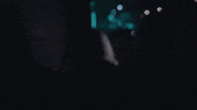 Sing Country Music GIF by Megan Moroney