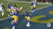 2018 Nfl Football GIF by NFL
