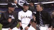 florida marlins GIF by MLB