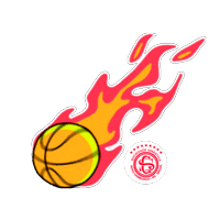 Basquete Sticker by Sociedade Ginástica NH