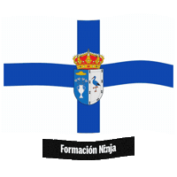 Castilla-La Mancha Bandera Sticker by Formación Ninja