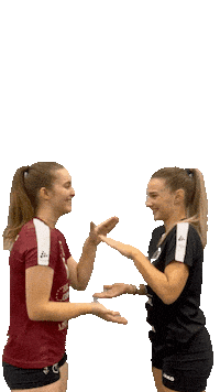 Celebration Clap Sticker by Donau Volleys