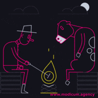 Modicum hot funny animals fire GIF