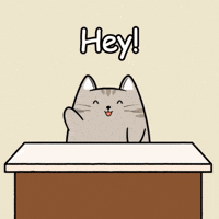Happy Cat GIF by MESA My Emotional Support Animal