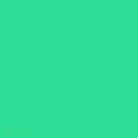 Sunday Quotes GIF by Spini
