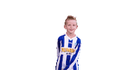Voetbalvereniging_Scherpenzeel sport voetbal bal blauwwit Sticker