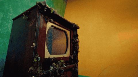 Climb Out Tv Show GIF by Hardly Art