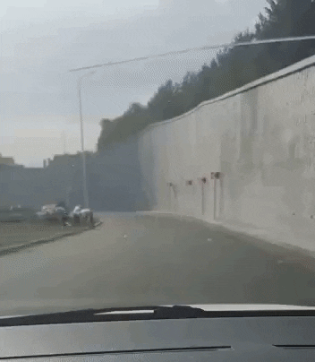 nizamov121090 giphyupload GIF