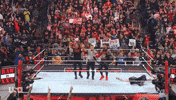 Wwe Wrestling GIF by USA Network