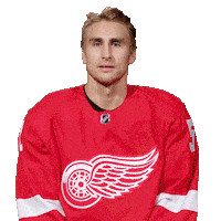 Ice Hockey No Sticker by Detroit Red Wings