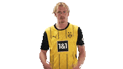 Angry Borussia Dortmund Sticker by Bundesliga