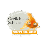 Sticker by akademievet