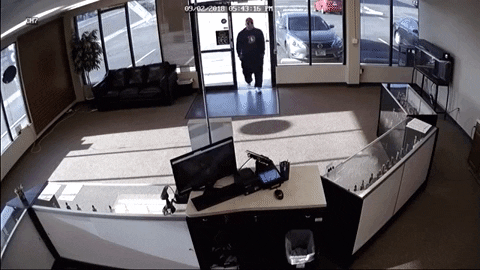 AmericanFirearms giphygifmaker GIF