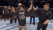 ufc fight night sport GIF by UFC