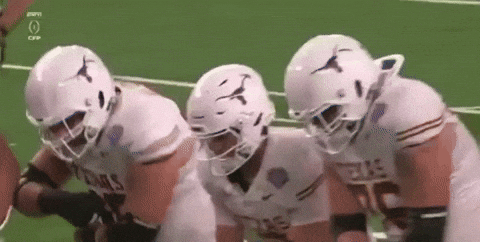 gocoogs  GIF