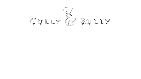CullyandSully giphyupload Sticker
