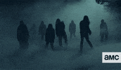 The Walking Dead Zombies GIF by AMC Latinoamérica