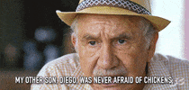fred armisen chickens GIF by IFC